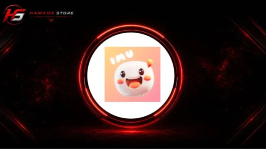 IMU